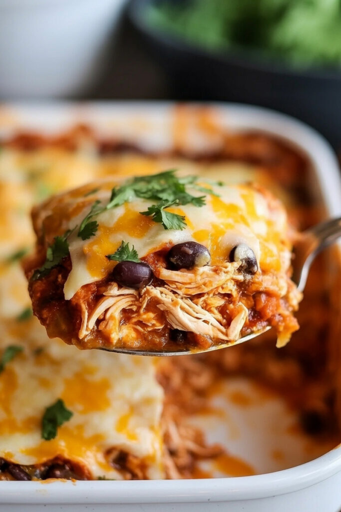 Serve Chicken Thigh Enchilada Casserole